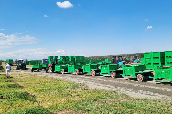 Трактор Solis-Gold | Солис-Голд 26 Mit 4×4 6+2B STD agri 6.00-12 / 8.3-20 (с ПСМ)