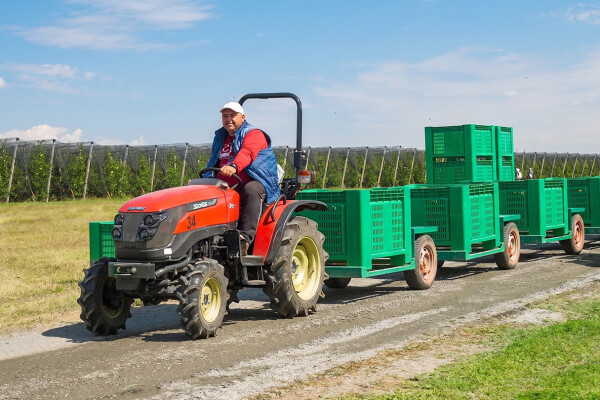 Трактор Solis-Gold | Солис-Голд 26 Mit 4×4 6+2B STD agri 6.00-12 / 8.3-20 (с ПСМ)